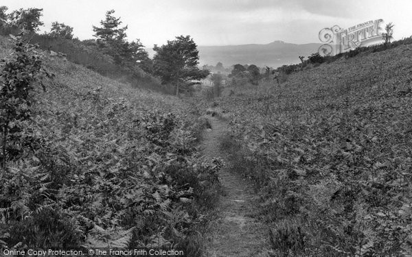 Photo of Churt, Valley Leading To Stock Farm House 1928