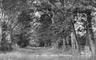 Y-Lôn-Goed c.1945, Chwilog