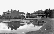 The Pond 1950, Cippenham