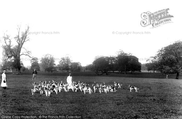 Photo of Cirencester, Cirencester Park, Lord Bathurst's Hounds 1898
