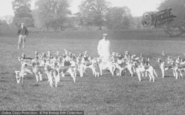 Photo of Cirencester, Lord Bathurst's Hounds 1898