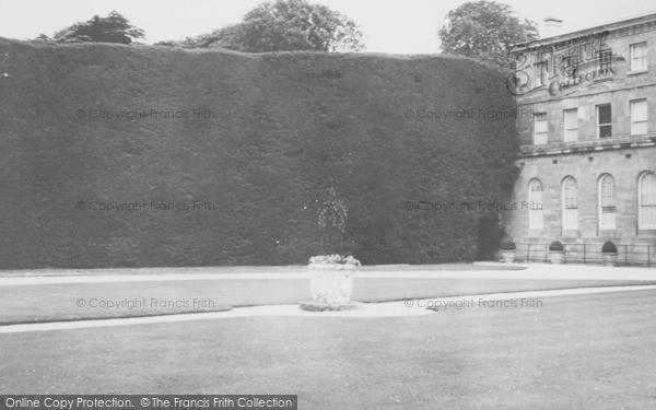 Photo of Cirencester, The Tallest Yew Hedge In England c.1960