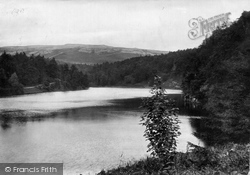 The Lake 1900, Clapham