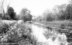 The River c.1965, Clare