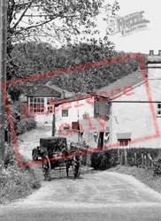 Horse Cart, Paper Mill Lane c.1950, Claydon
