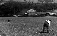 c.1960, Cleeve Hill