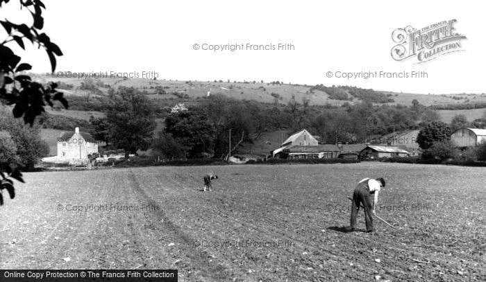 Photo of Cleeve Hill, Hoeing c.1960