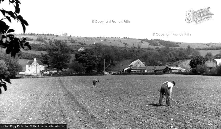 Cleeve Hill, Hoeing c1960