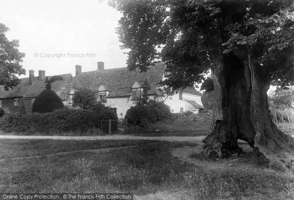 Photo of Cleeve Prior, The Old Elm 1901