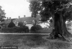 The Old Elm 1901, Cleeve Prior