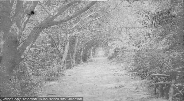 Photo of Clevedon, c.1900