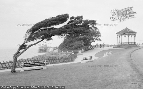 Photo of Clevedon, Windblown Tree And The Bandstand 1959
