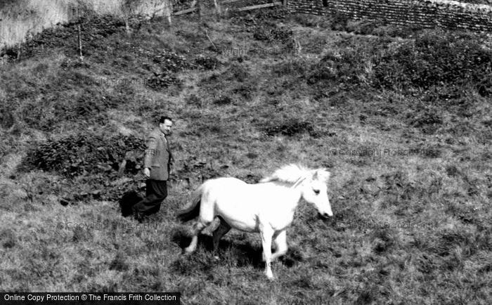 Photo of Cley Next The Sea, Man And Pony On The Marshes 1959