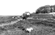Cley-Next-The-Sea, The Marshes 1959, Cley Next The Sea