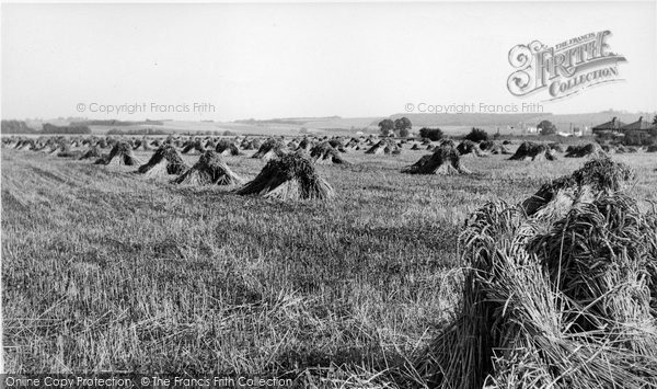 Photo of Cliffe, The Harvest c.1955