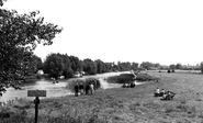 The Meadows c.1960, Clifton Hampden