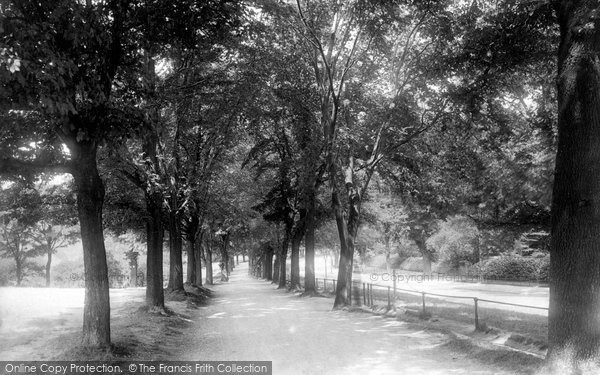 Photo of Clifton, Promenade 1896