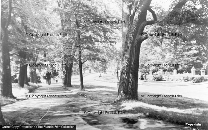 Photo of Clifton, The Promenade c.1950