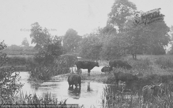 Photo of Cloakham, On The River Axe 1902