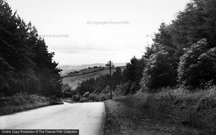 Photo of Cloughton, Duchy Of Lancaster Woods c.1955