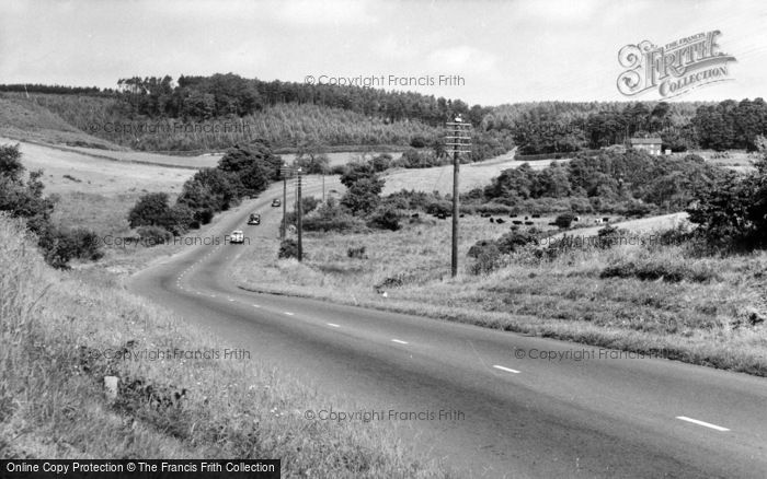 Photo of Cloughton, Duchy Of Lancaster Woods c.1955