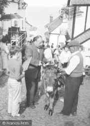 Donkey, High Street c.1965, Clovelly