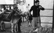 Clovelly, Donkey Stealing Beer c1960
