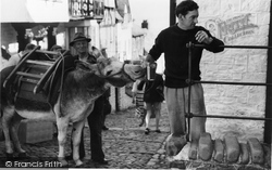 Donkey Stealing Beer c.1960, Clovelly