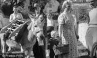 Clovelly, Donkey Stealing Sugar c1960