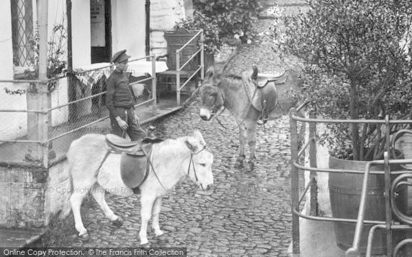 Photo of Clovelly, Donkeys 1923