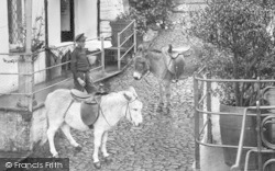 Donkeys 1923, Clovelly