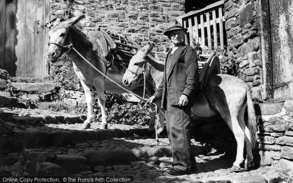 Photo of Clovelly, Donkeys c.1960
