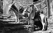 Donkeys c.1960, Clovelly