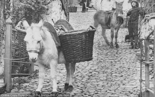 Photo of Clovelly, Donkeys, High Street 1894