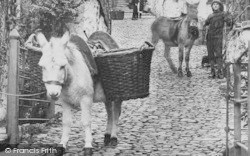 Donkeys, High Street 1894, Clovelly