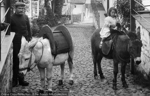 Photo of Clovelly, Donkeys In The Street 1908