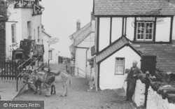 Donkeys Waiting For Mail c.1950, Clovelly