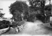 Entrance To Hobby Drive 1908, Clovelly