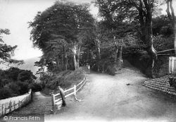 Entrance To Hobby Drive 1908, Clovelly