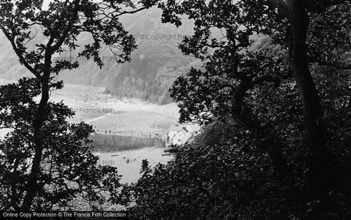 Photo of Clovelly, From Turnpike Woods c.1890