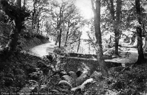 Photo of Clovelly, Hobby Drive 1890