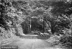Hobby Drive 1890, Clovelly