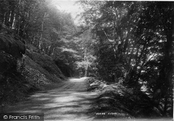 Hobby Drive 1894, Clovelly