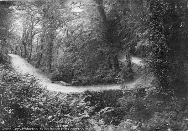 Photo of Clovelly, Hobby Drive 1906