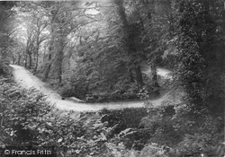 Hobby Drive 1906, Clovelly