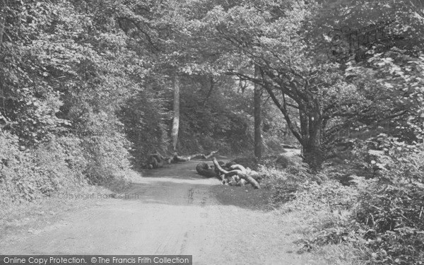 Photo of Clovelly, Hobby Drive c.1872