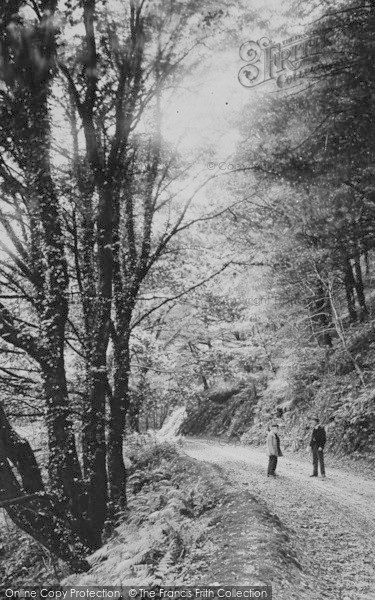 Photo of Clovelly, Hobby Drive c.1890