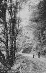 Hobby Drive c.1890, Clovelly