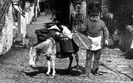 Laden Donkey 1890, Clovelly