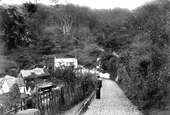 Lane To Hobby Drive 1908, Clovelly